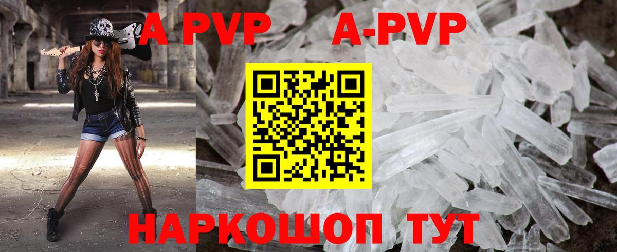 A PVP СК Сосновый Бор