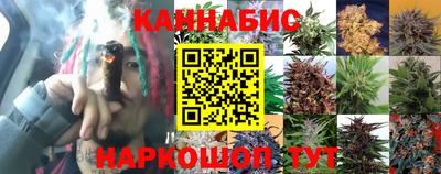 спиды Пугачёв