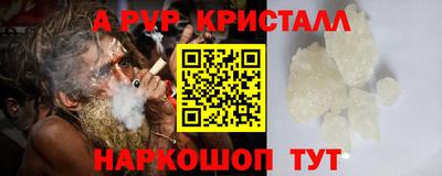 спиды Пугачёв