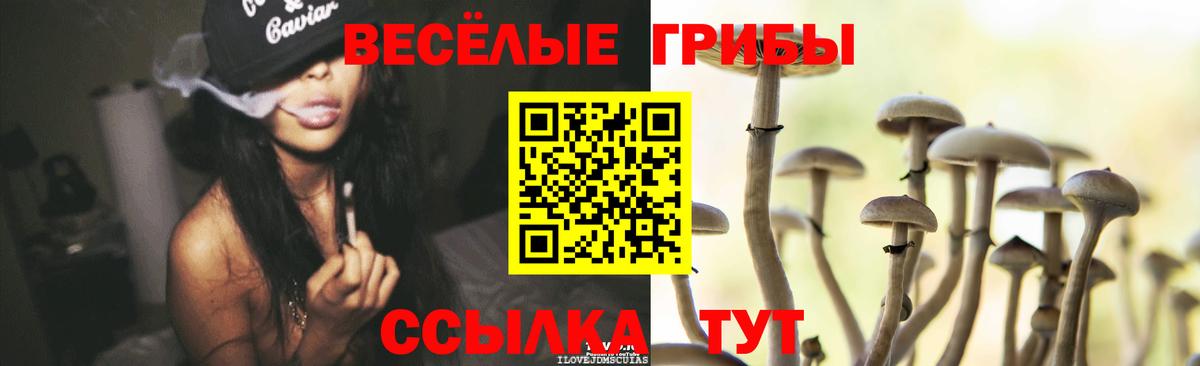 Псилоцибиновые грибы GOLDEN TEACHER Сосновый Бор